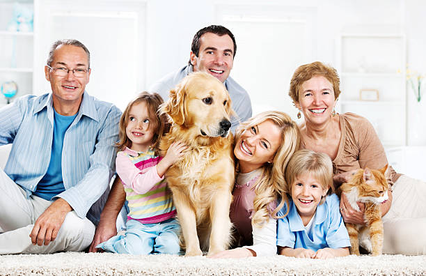 Pet Care Snapshot