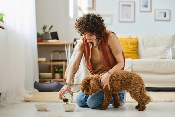 Pet Care Snapshot