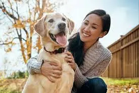 Pet Care Snapshot